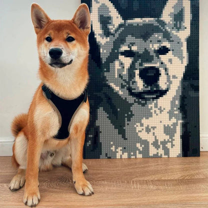 SAYES™ | Custom Photo Mosaic Kit